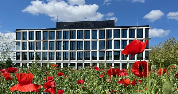 Forschungsbau "Weltbeziehungen" mit Wildblumenwiese