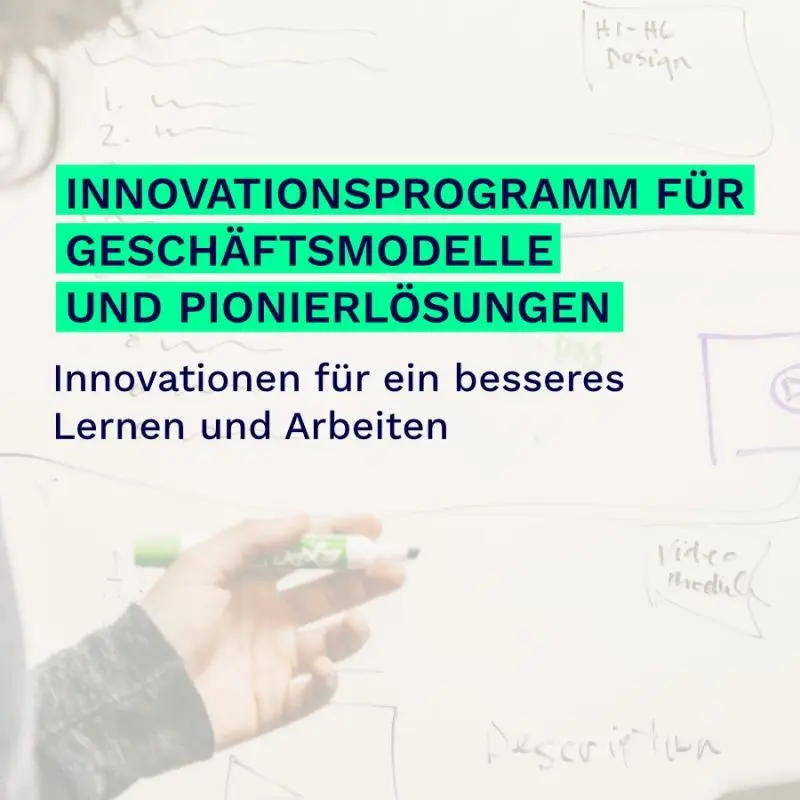 IGP innovation programme for business models and pioneering solutions