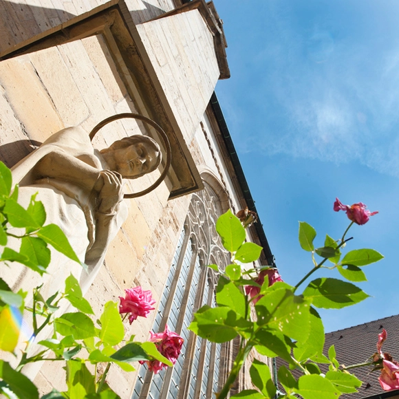 Kreuzgang des Erfurter Doms, Katholisch-Theologische Fakultät der Universität Erfurt