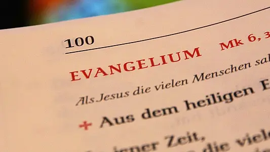 Eine aufgeschlagene Bibel, Katholisch-Theologische Fakultät, Universität Erfurt