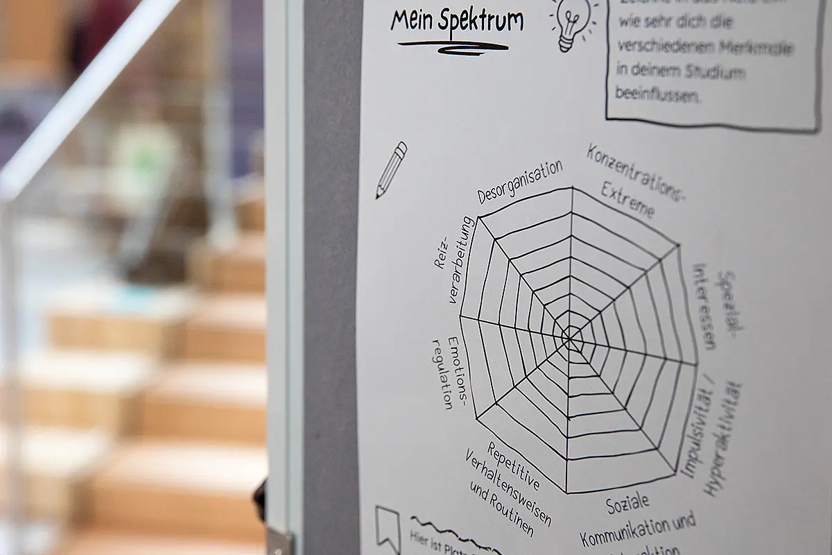 Ein Handout "Mein Spektrum": ein Spinnennetz mit Eigenschaften von Desorganisation bis Emotionsregulation