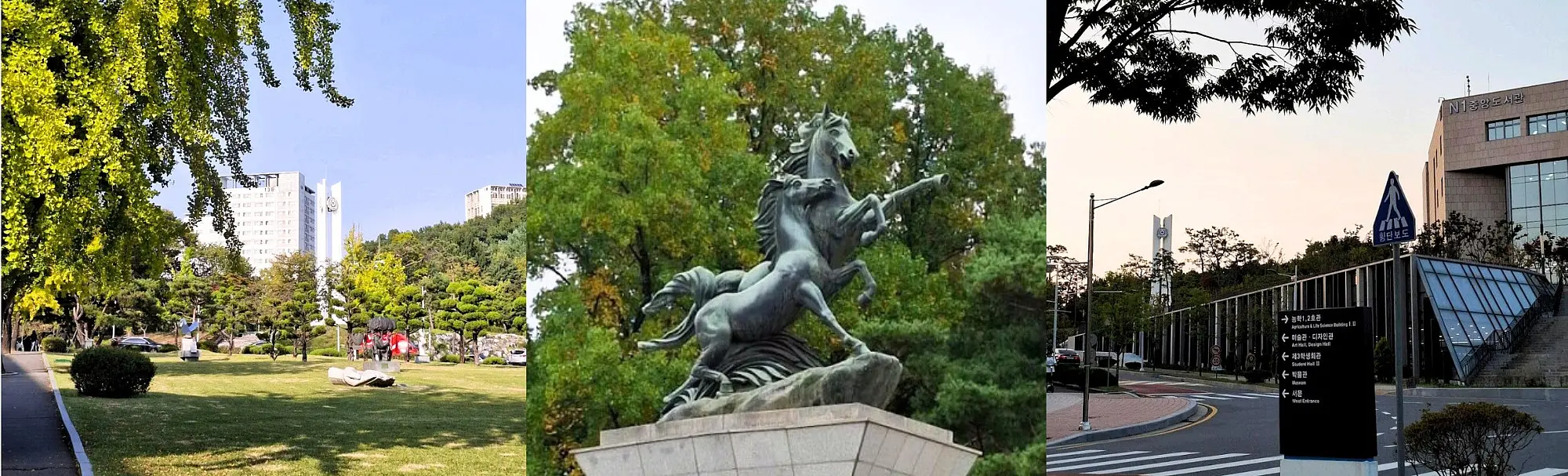 Drei Fotos vom Campus der CNU, viel Grün, moderne Gebäude, ein Pferdestatue