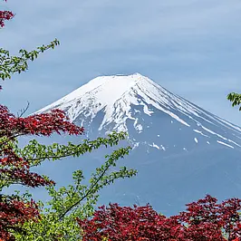 Mount Fuji