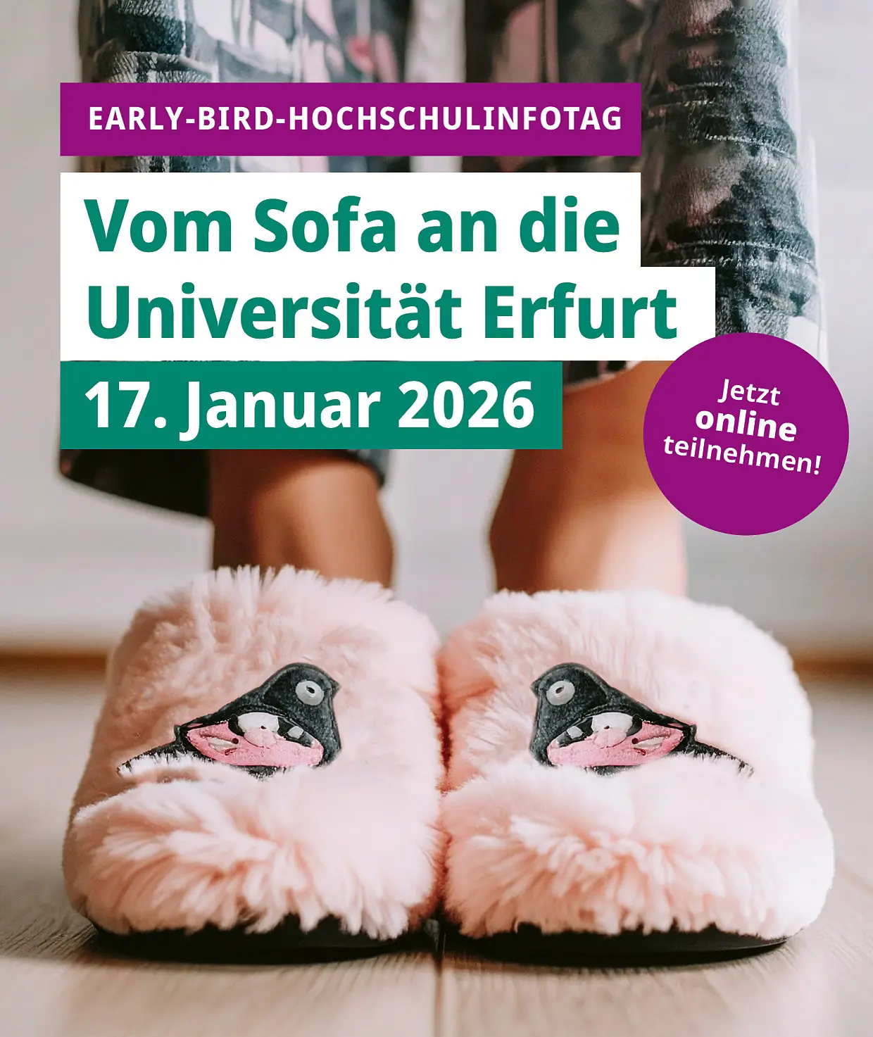 Plakat Early Bird Hochschulinfotag HIT Online Digital
