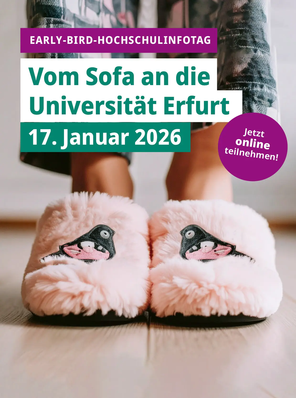 Plakat Early Bird Hochschulinfotag HIT Online Digital