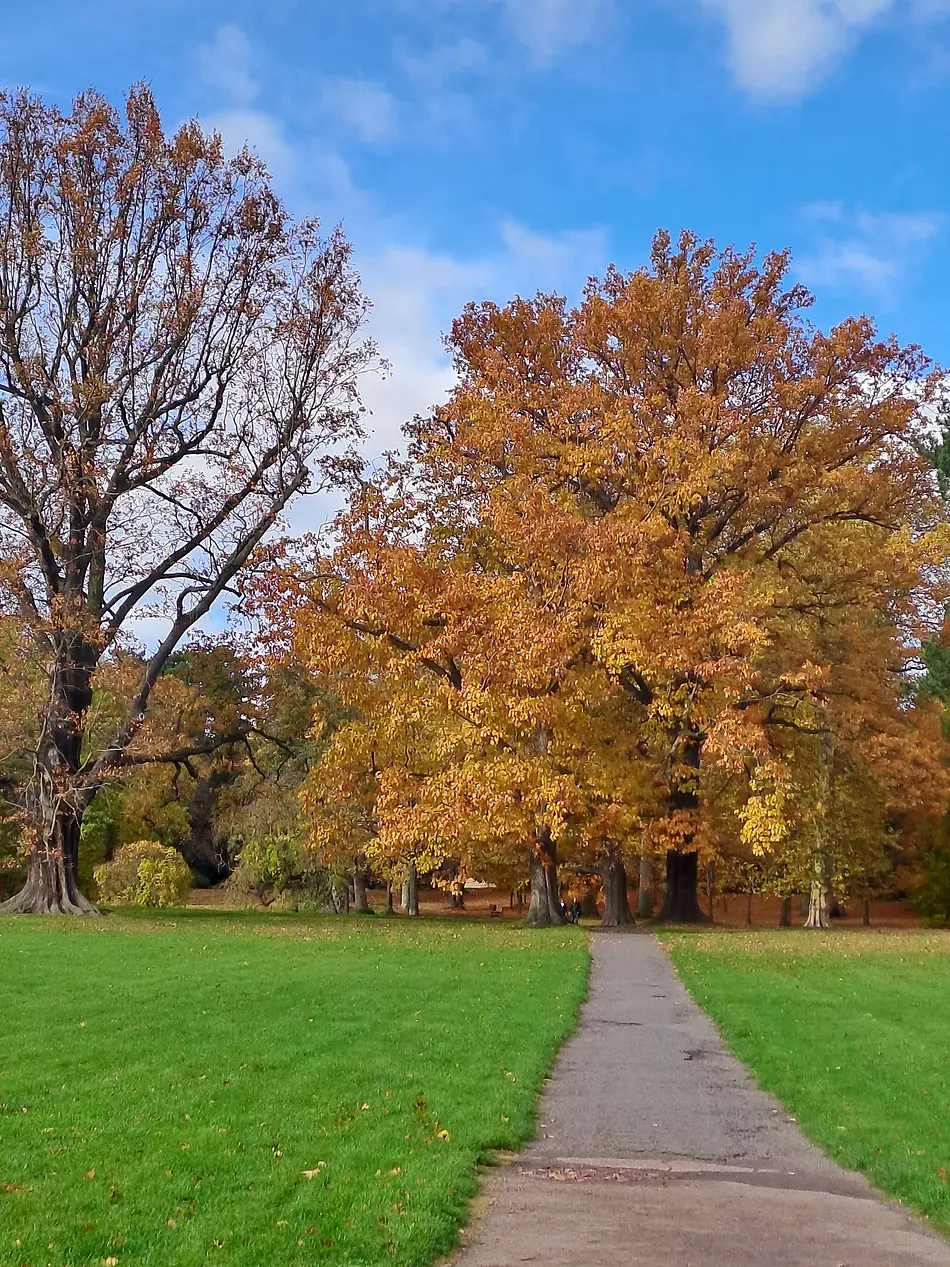 Gotha Castle Park in autumn