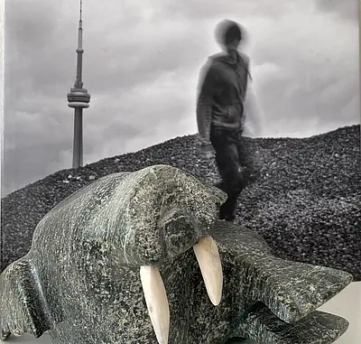 Snapshots of Contemporary Canadian Literature and Visual Culture