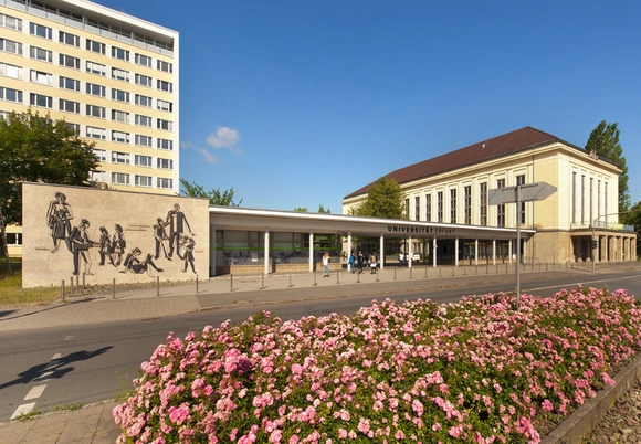 Hoffmann Uni Erfurt – Sophia Hoffmann Interview – MCLOTZ