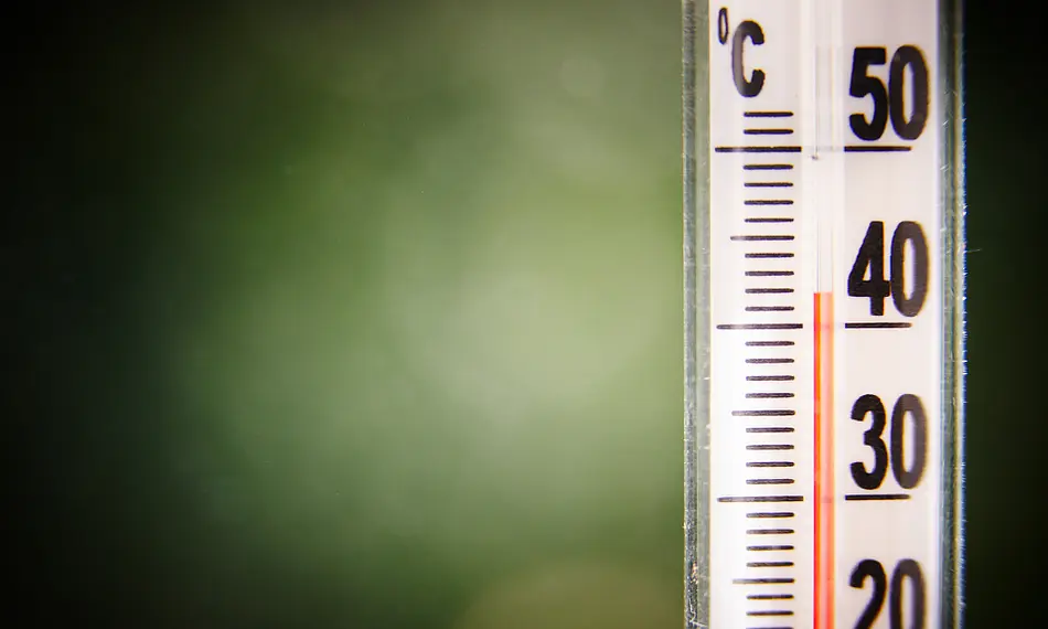 Thermometer, das 42 Grad Celsius anzeigt