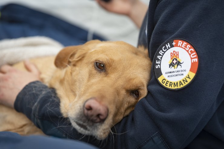 Hund auf dem Arm eines I.S.A.R.-Helfers