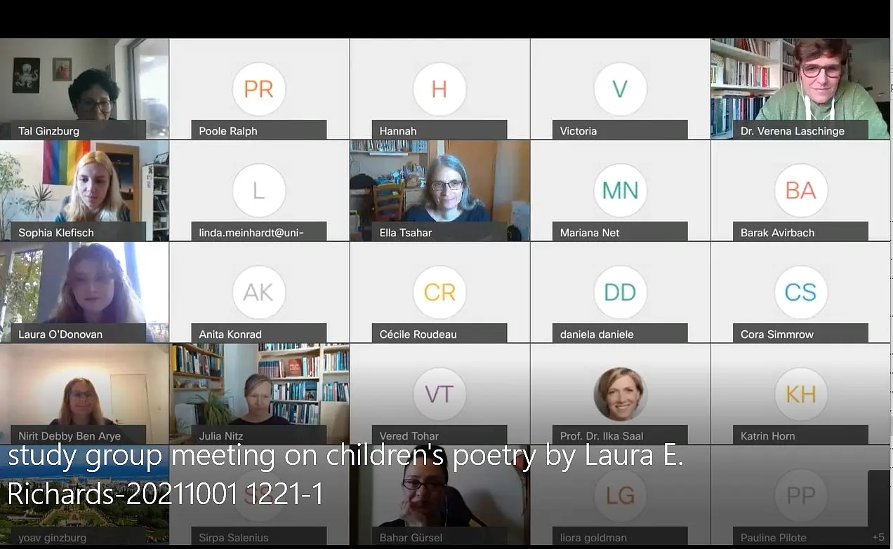 Screenshot of an online meeting