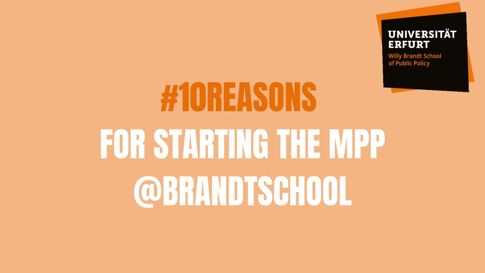 Zehn Gründe, um den MPP an der Brandt School anzufangen