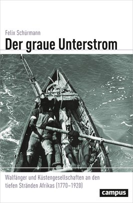 Cover: Der graue Unterstrom
