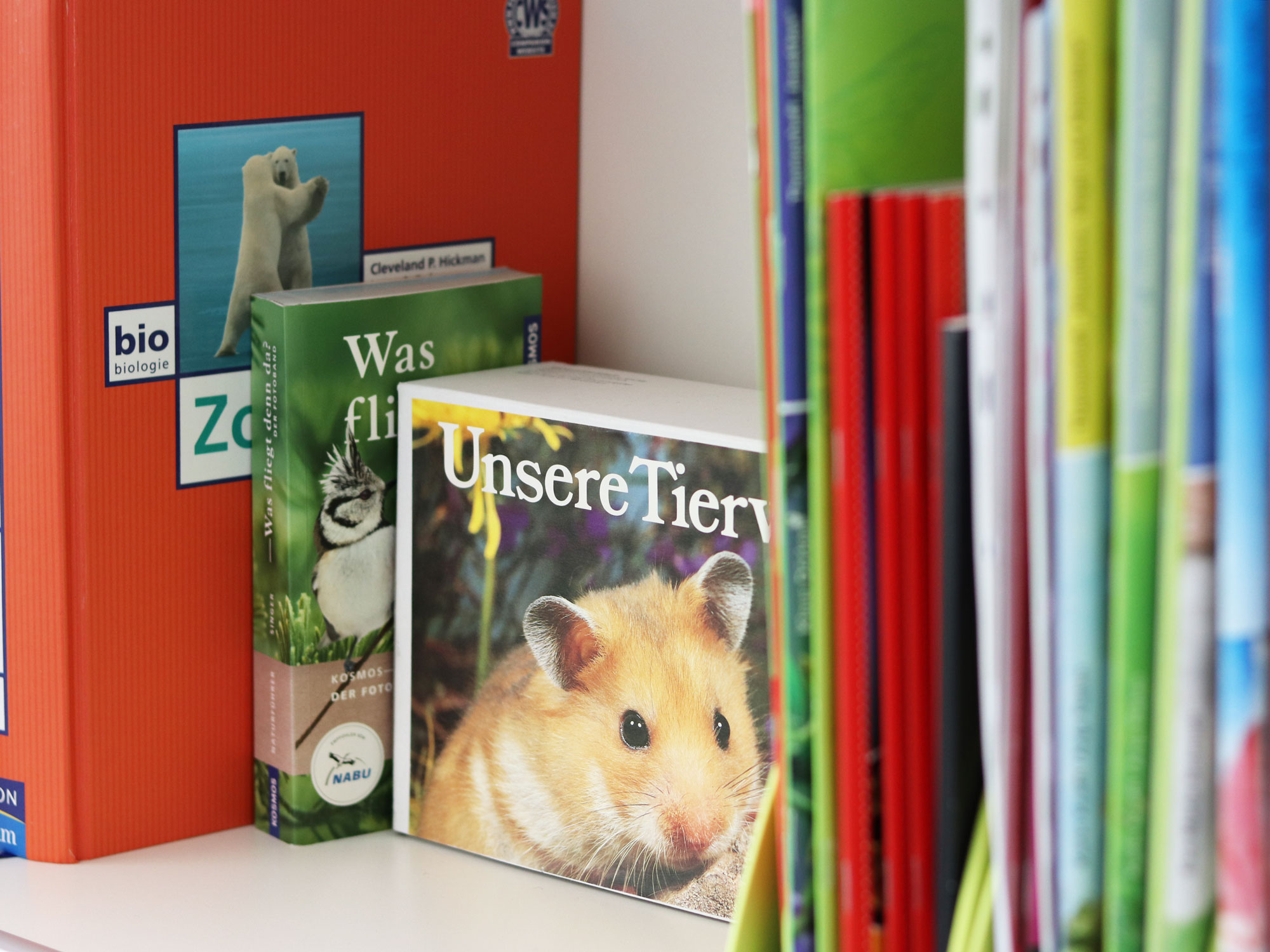 Ausschnitt der nach Themen sortierten Literatursammlung in einem Bücherregal, Fokus auf Bücher über die Tierwelt
